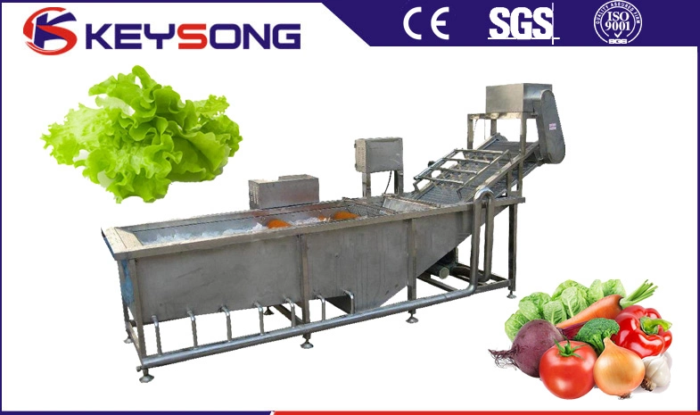 Gemüsereiniger/Jujube Chinesisches Datum Wasser Bubble Gemüsewaschmaschine