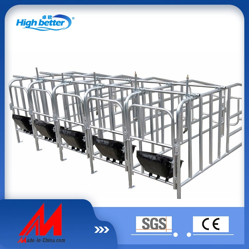 Lowest Price Hot DIP Galvanized Pig Farrowing Crate / Cage for Sows