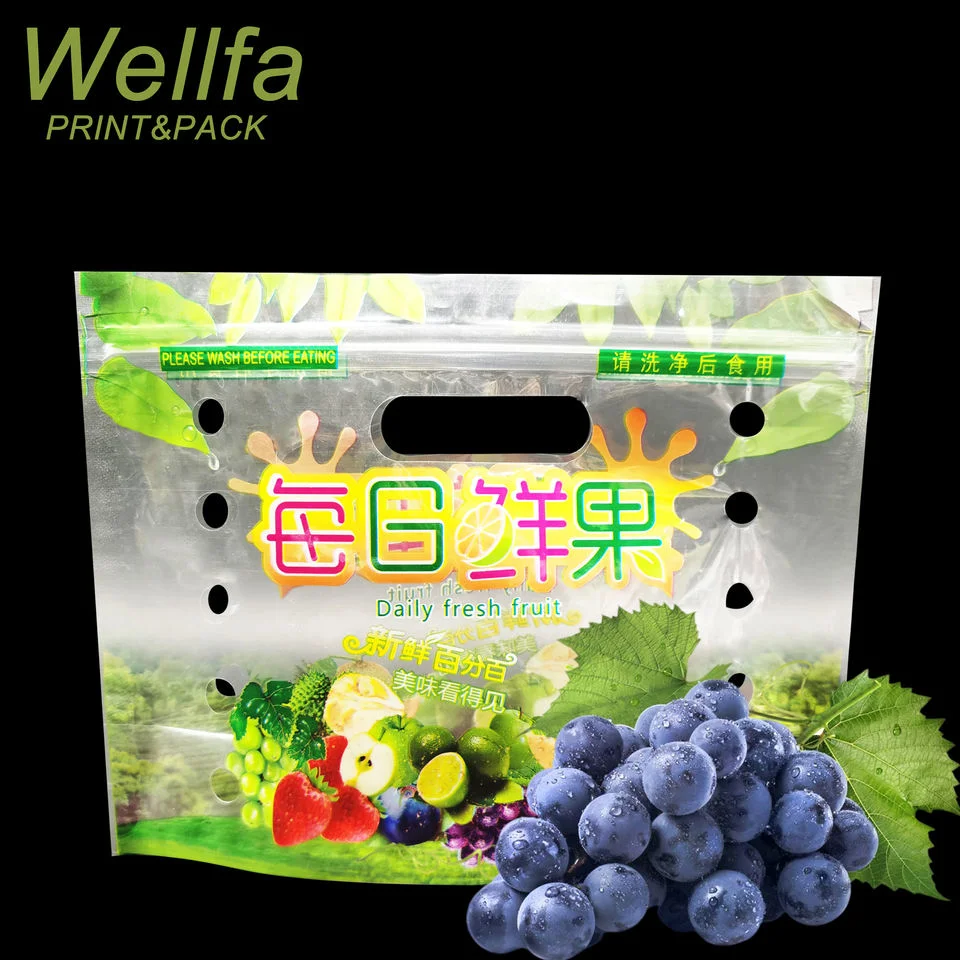 OEM Bolsa De Plastico Customized Printed Fruit Packing Zip Lock Plastic Bags Transparent with Handle