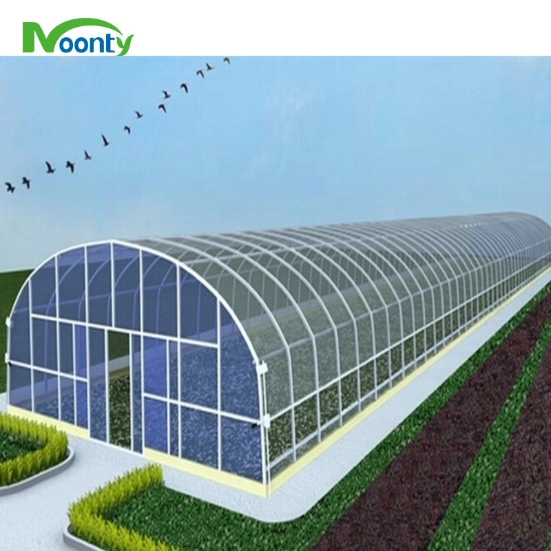 Simple Gothic Tunnel Film Greenhouse Hydroponics for Sale