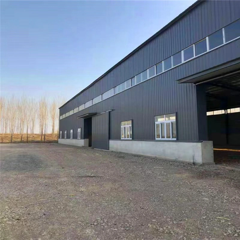 Multy Storey Steel Structure Construction Warehouse Workshop Building