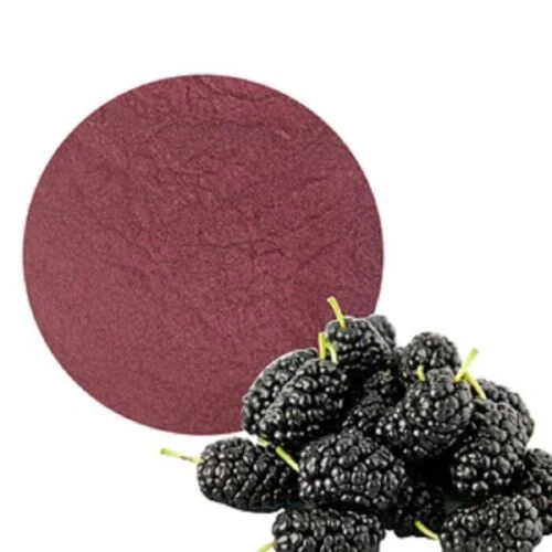 Hot Sale Mulberry Powder Mulberry Fruit Juice Extract Anthocyanin Powder