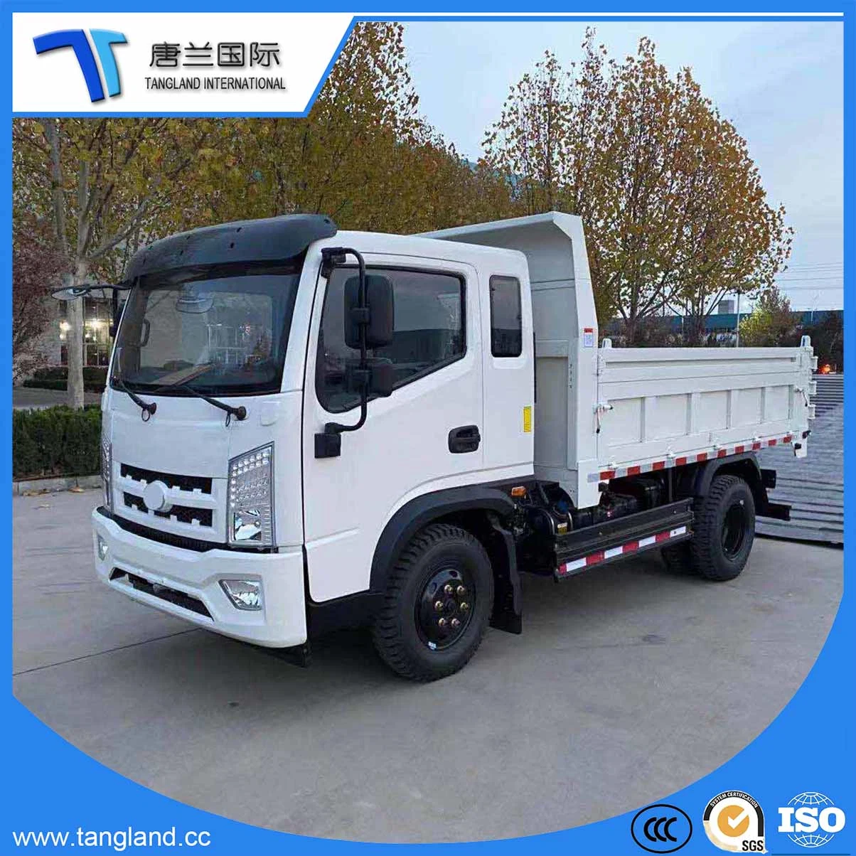 4-6toneladas Dump/Light/Mini/Pequeno/Tipping/Tip/Tipper/Self Dumper/dumping/Trucks com motor Weichai