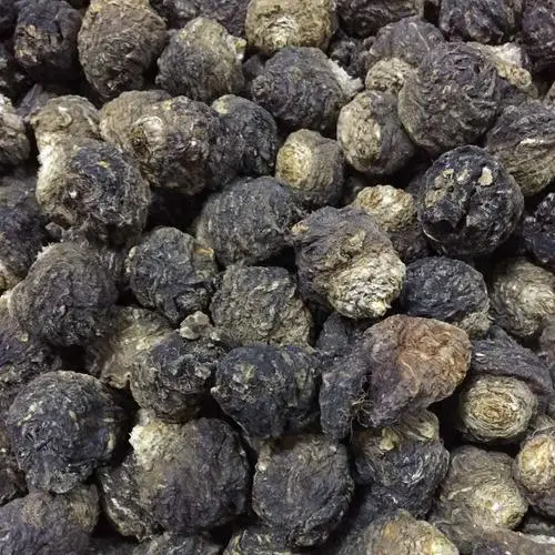 La mejor calidad de la medicina herbaria cruda toda Yunan raíz negra de la maca