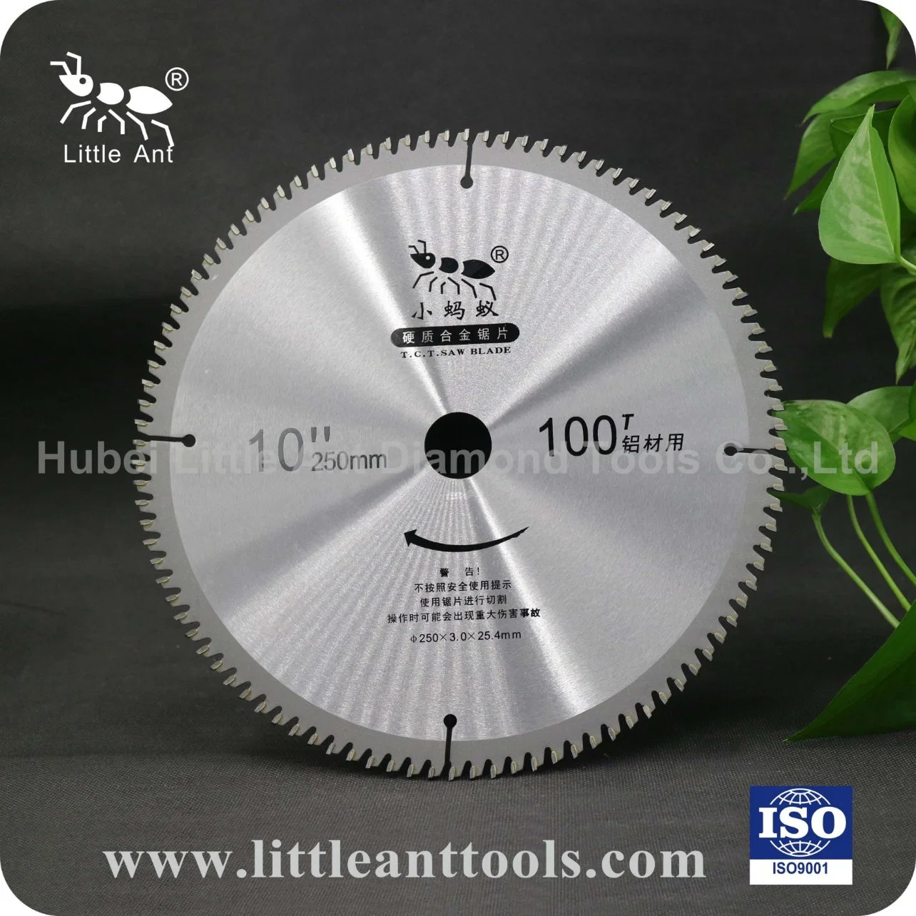 Tct Saw Blade for Grass (CG004) with Ce Certificate