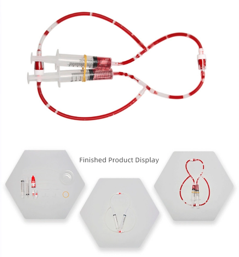 DIY Human Blood circulation System ensino médico modelo simples Aprendizagem Brinquedos educativos