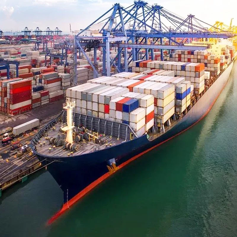 Envío sea Freight Agencia mundial de envíos en Shenzhen al puerto Gentil