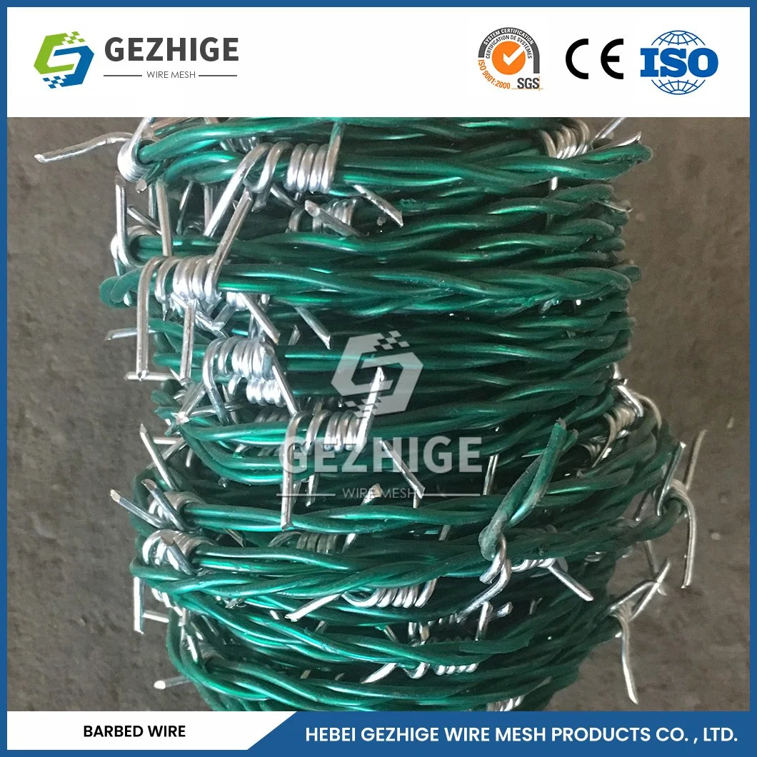 Gezhige 100m Barbed Wire Factory 65mm Barb Length 12 Swg Galvanized Barbed Wire China 8.1096 Stab Distance Chain Necklace Barbed Wire