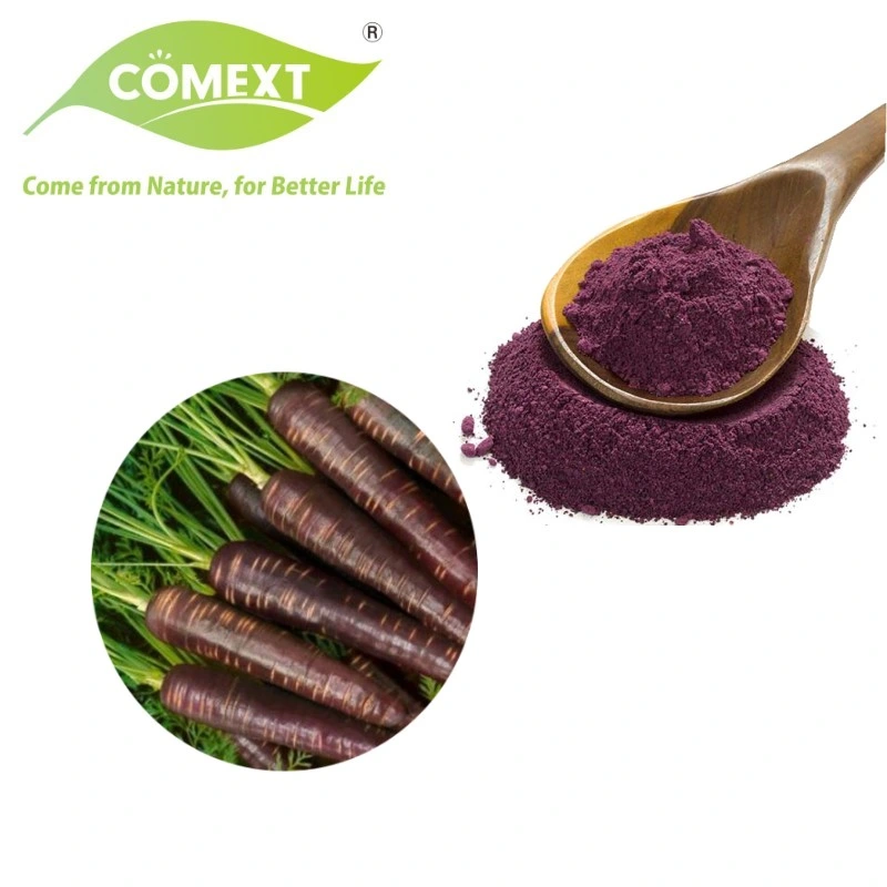 Fábrica Cpmext melhor abastecimento a granel puro Pó Vegetais Rabanete Roxo de cenoura em pó