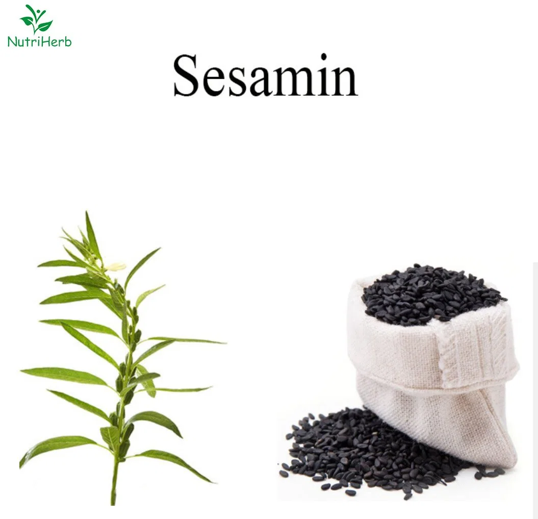 Wholesale Sesame Seed Extract Sesamin 60%~98% HPLC Sesamin Manufacturer