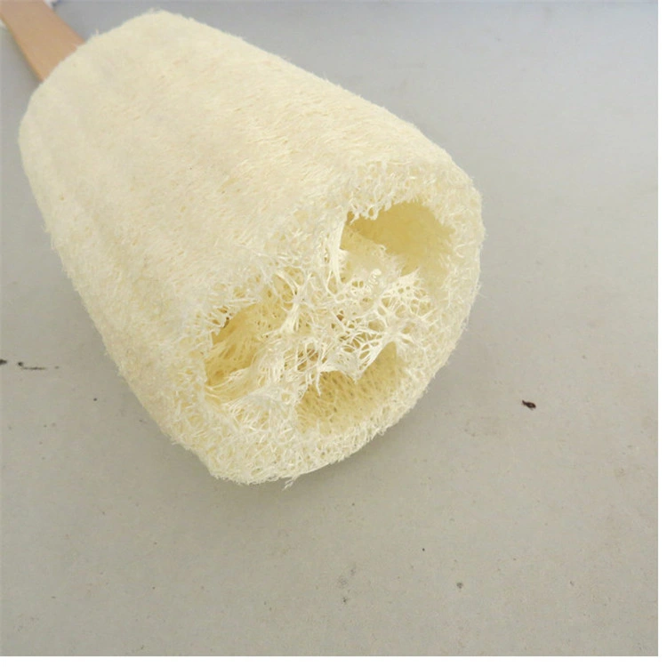 Natural Biodegradable Loofa Body Lufa Dish Sponge Scrubber Sponge