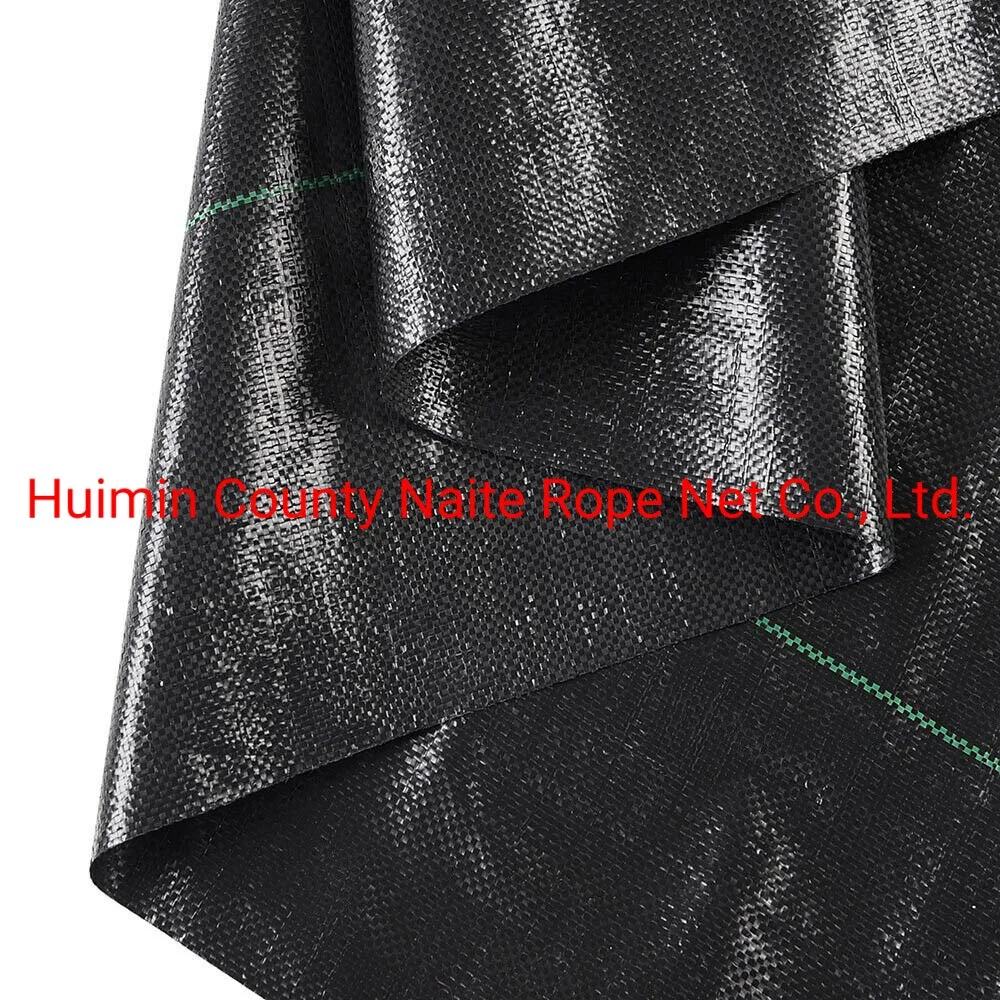 China Manufacturer UV Treated Agriculture Weed Barrier PP Woven Fabric Anti Weed Mat Weed Control Ground Cover for Blueberry