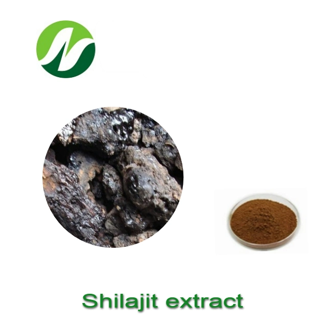 مصنع مباشرة بالجملة Asphaltum 4: 1 10: 1 Shilajit استخراج