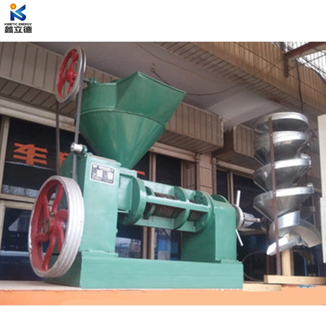 Cold Press Seeds Oil Pressing Machine Sesame Seeds Oil Press Plant