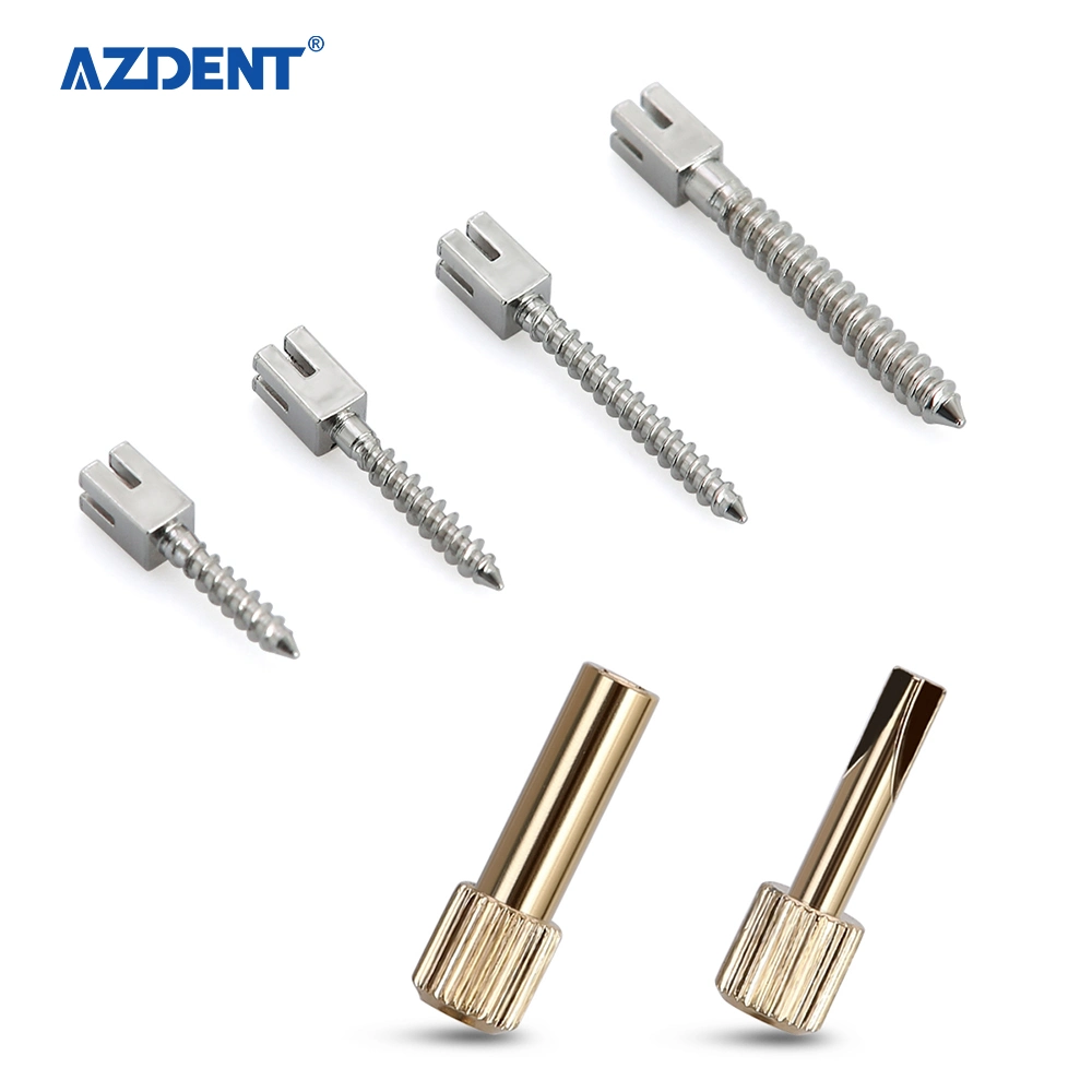 Venta caliente 120PCS/Ajuste el tornillo de Dental Post