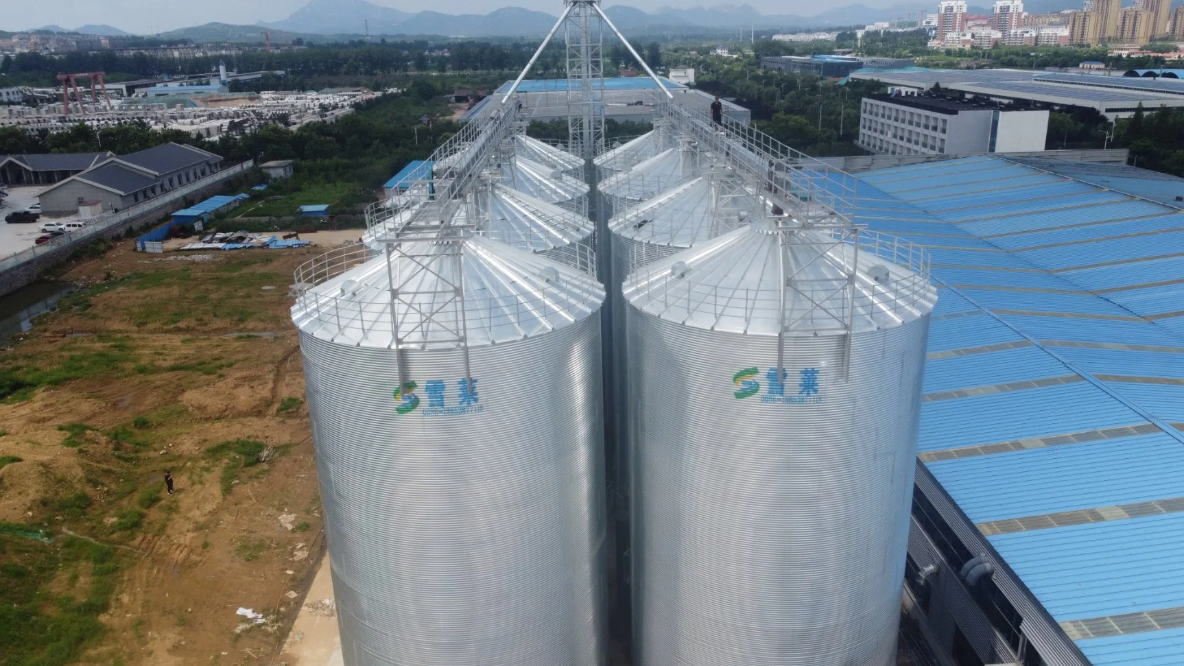 La alimentación del ganado de los silos de almacenamiento de grano de trigo el maíz de los silos de acero galvanizado para la venta