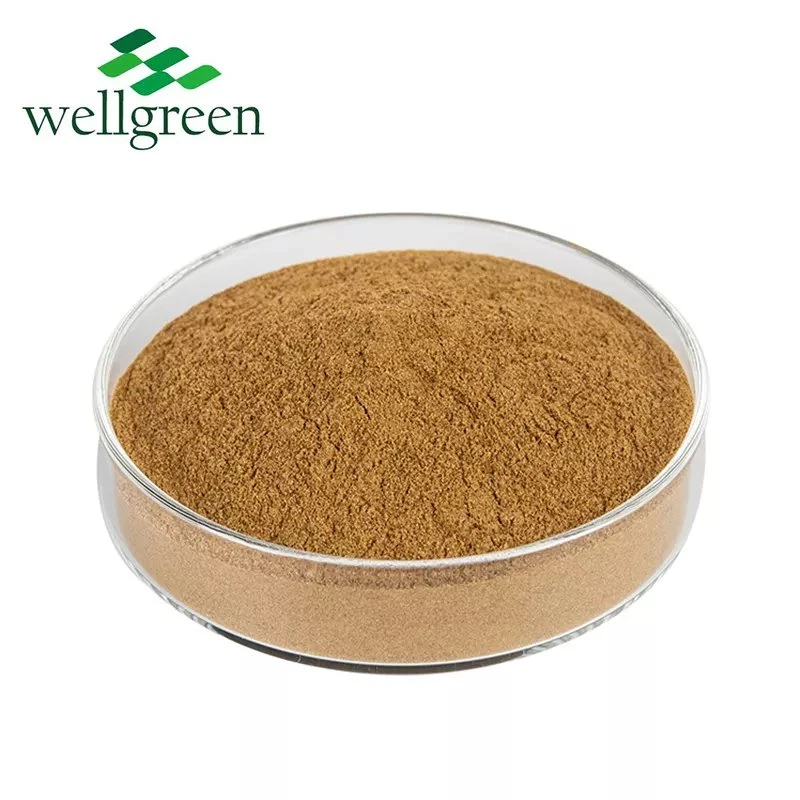 White Button Mushroom Agricus Powder Common Cultivatea10% Polysaccharides Agaricus Bisporus Extract