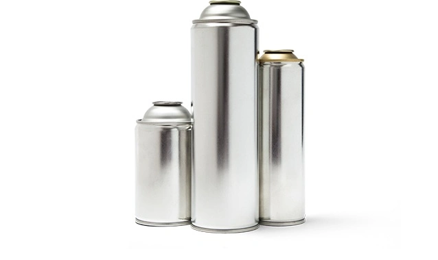 China Wholesale/Supplier Customized Empty Metal Spray Tin Can Aluminum Can Aerosol Can Body Spray Printing Insecticide 2q/2p/2n 200ml 300ml 400ml 500ml