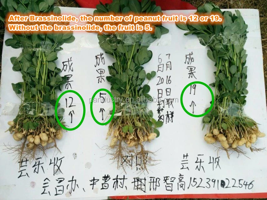 Brassinolide más vendidos en la agricultura CAS 72962-43-7