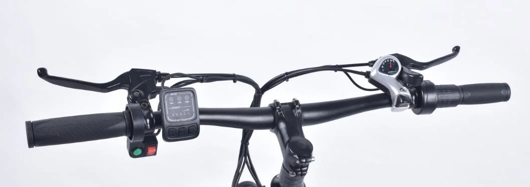 O Kudos escapar grande potência promover bicicletas eléctricas da província de Guangdong