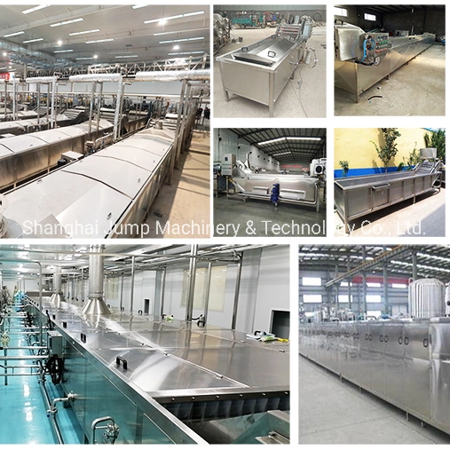 Continuous Water Cooking Machine, Fruit and Vegetable Cooking, De-Freezing and Blanching Machines