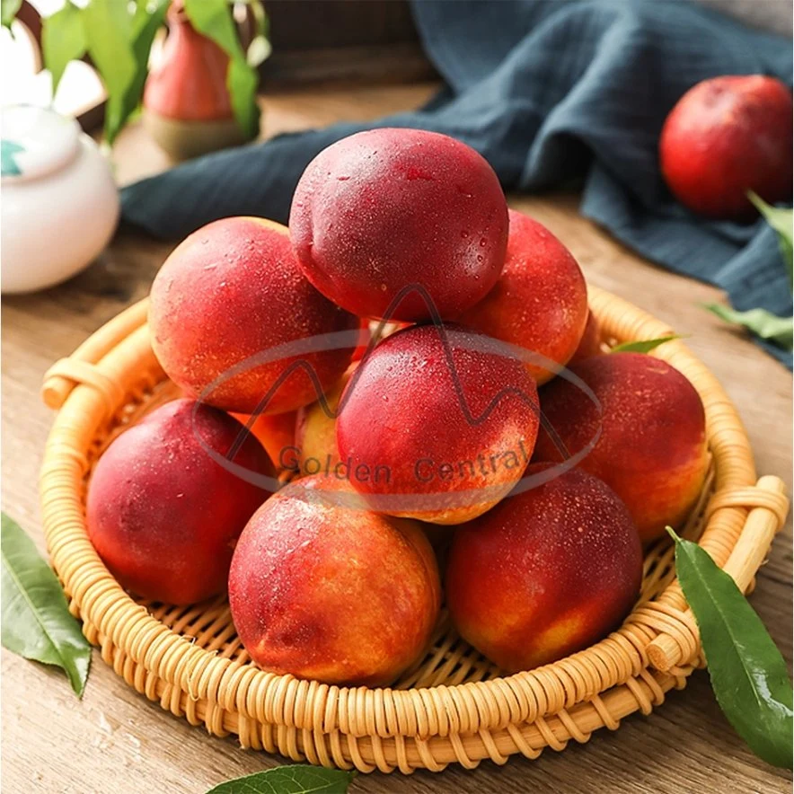 Chinese Manufacturer Prices Fresh Nectarine Peach with A Grade