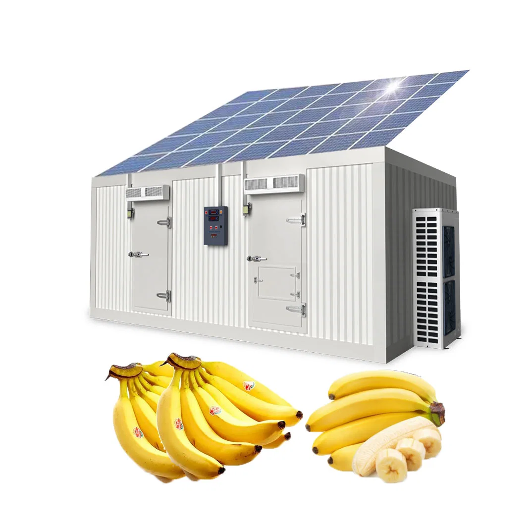 New Style Cold Room Frozen Room Solar Power Cold Storage Ferrze