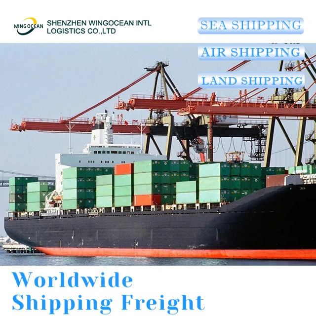 Excellent China Freight Forwarder Shipping Agent for USA/ Canada/ Europe Sea Shipment