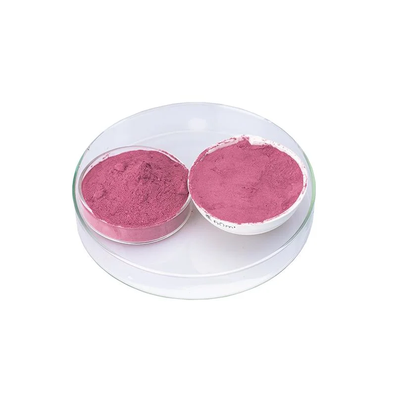 for Better Brain Health and Cognitive Function Blueberry Extract Powder