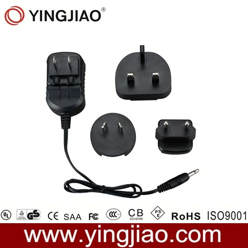 6W DC Linear Power Adapters with Variable