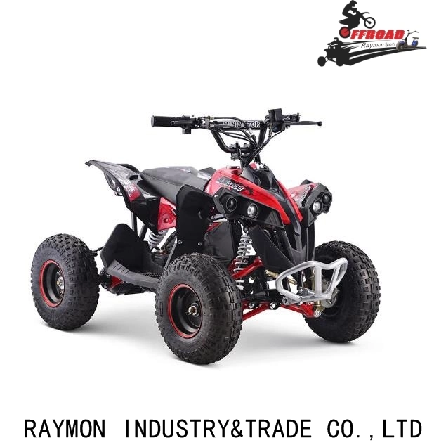 Nueva moto Quad Mini ATV para niños eléctricos 800W 36V