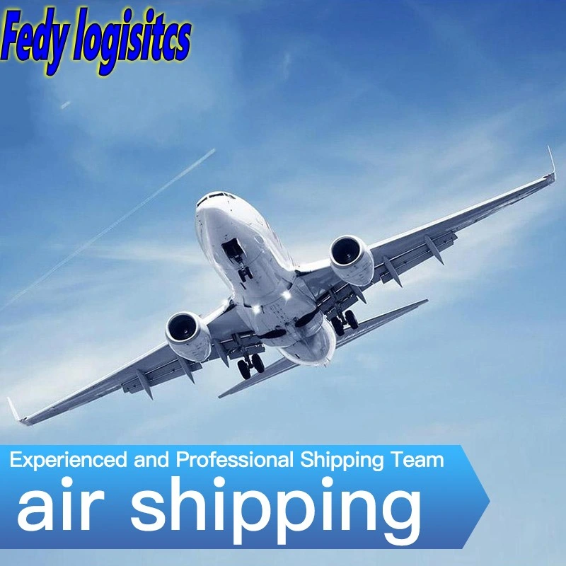 Fret maritime/Air agent transitaire/1688/DDP&amp;DDU en provenance de Chine à Dubaï/USA/UK/Europe/Amérique/Afrique/Asie/Afrique FBA Agents d'expédition