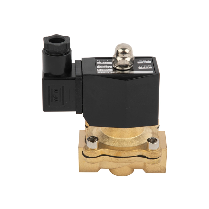 DN35 1 Inch 2W-350-35 Normally Closed Brass AC220V DC12V DC24V 2 Way Solenoid Ball Valve for Water Oils Air