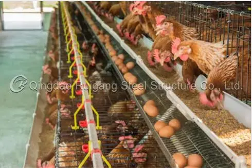 L'assurance qualité préfabriqué préfabriqués galvanisé porte lumière truss structure en acier de style maison de la volaille de la cage de poulet de conception de fermes de délestage