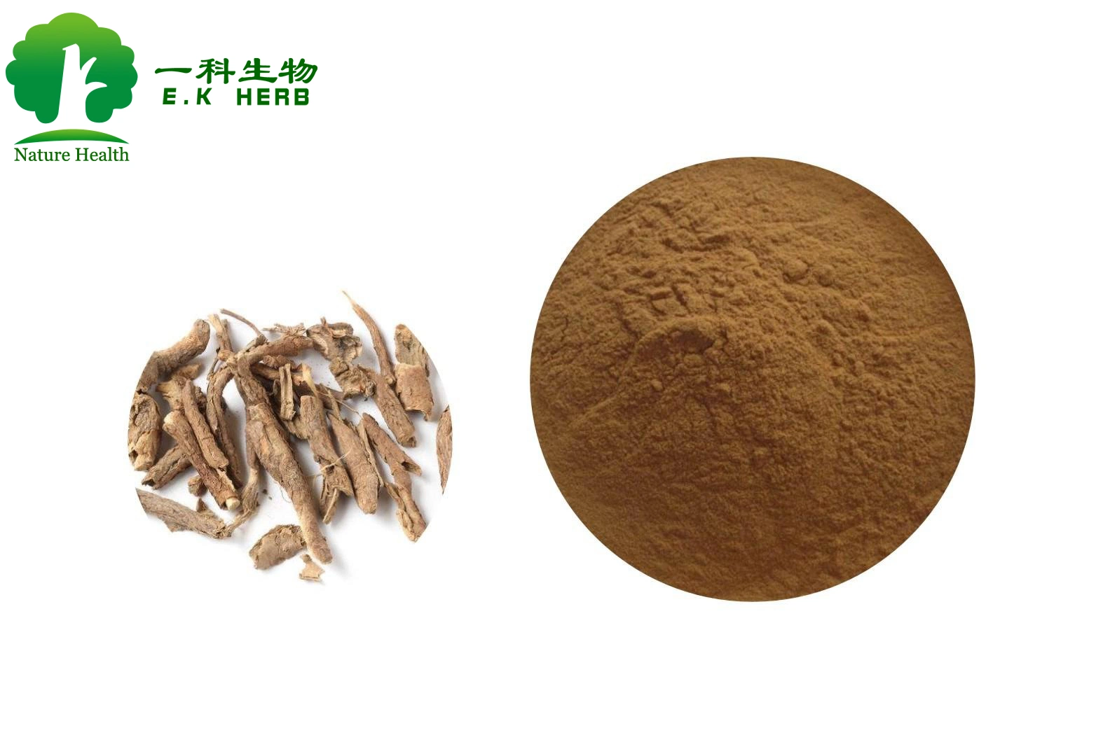 E. K Herb Plant Extract Siberian Ginseng Extract 0.8~1.2% Eleutherosides B+E 4: 1~20: 1 Siberian Ginseng Root Extract