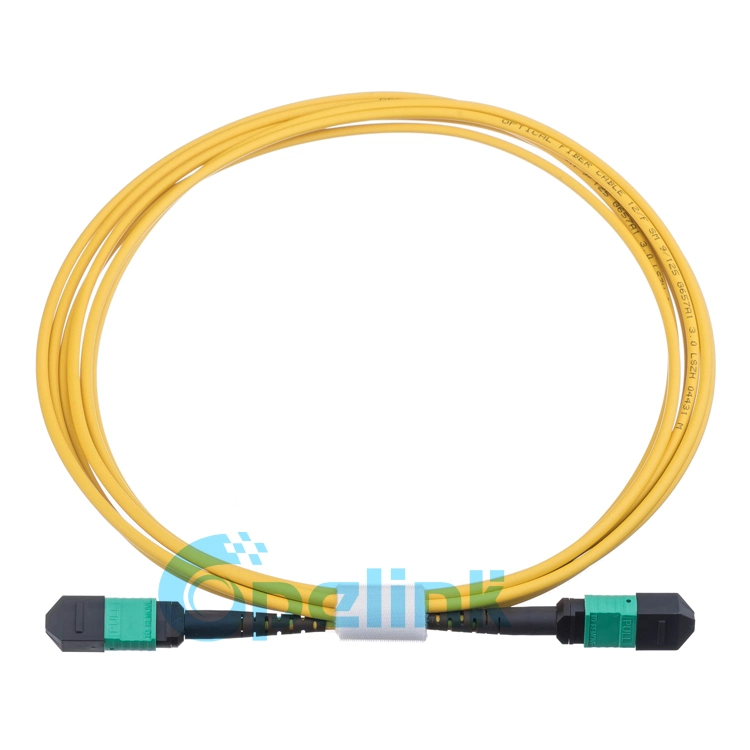 LC-MTP/MPO Optical Fiber Patch Cord Fanout 2.0mm 1m