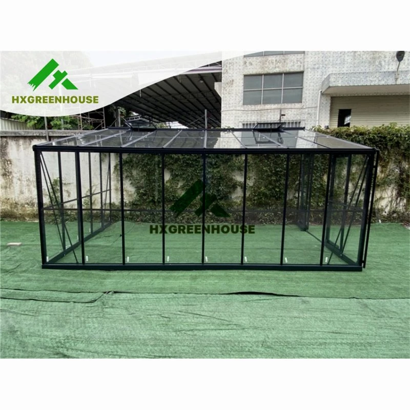 Hot New Product Greenhouses Used in Garden Greenhouse Hx97