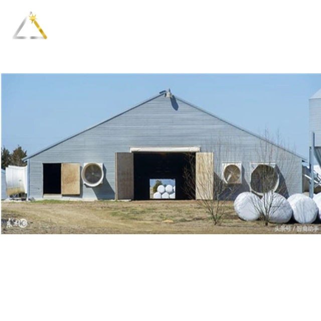 Jinggang Hot DIP Galvanized Long Life Steel Structure Poultry Chicken House with Pan Feeding Line System