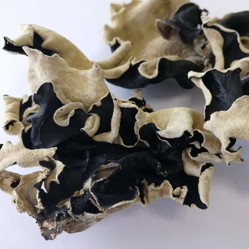 Dried Mushroom White Back, Mu Err Black Fungus