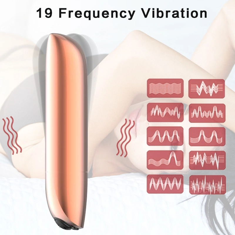 Mini USB Rechargeable Massager G Spot Bullet Vibrator for Women Panty Wearable Sex Toy-Rose Gold