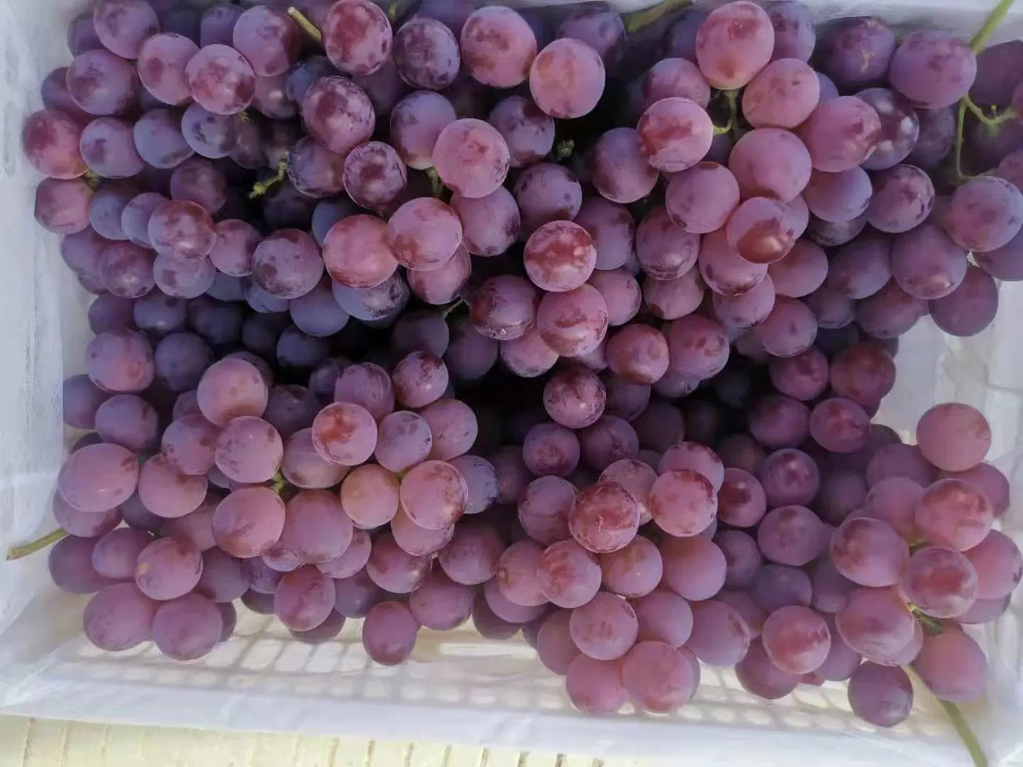 Uvas de alta qualidade