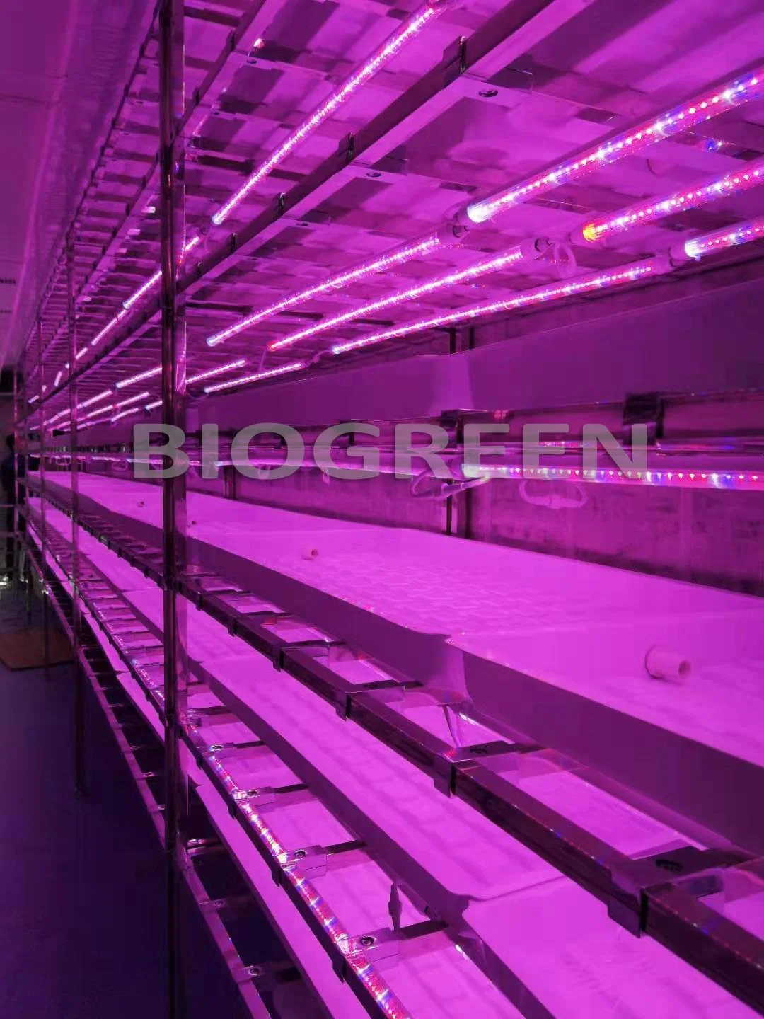 Full Automatic Vertical Grow Container Mushroom Mircogreen Aeroponic System in Container Farm