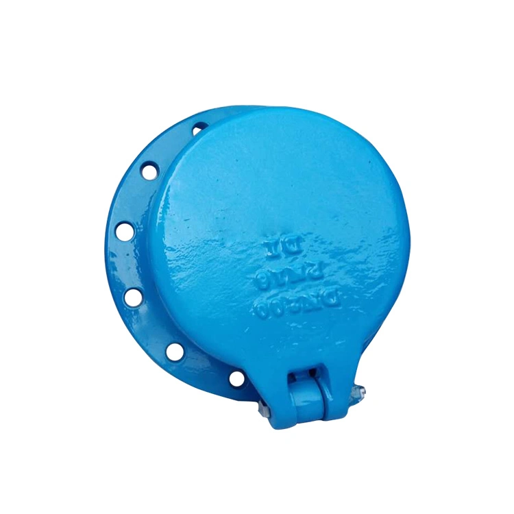 DN80 Pn10 Ductile Cast Iron Flanged Flap Type Check Valve Manufacturer