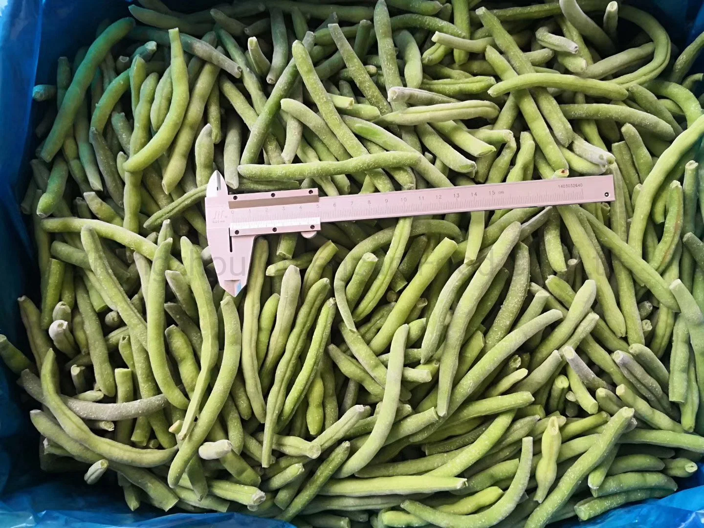 Greencan Vegetables IQF Green Beans Frozen Cut Green Beans