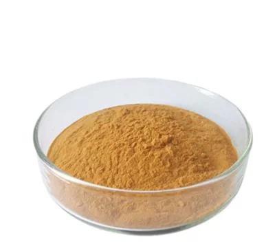 Good Quality Polysaccharides10%-50% Irpex Lacteus Extract