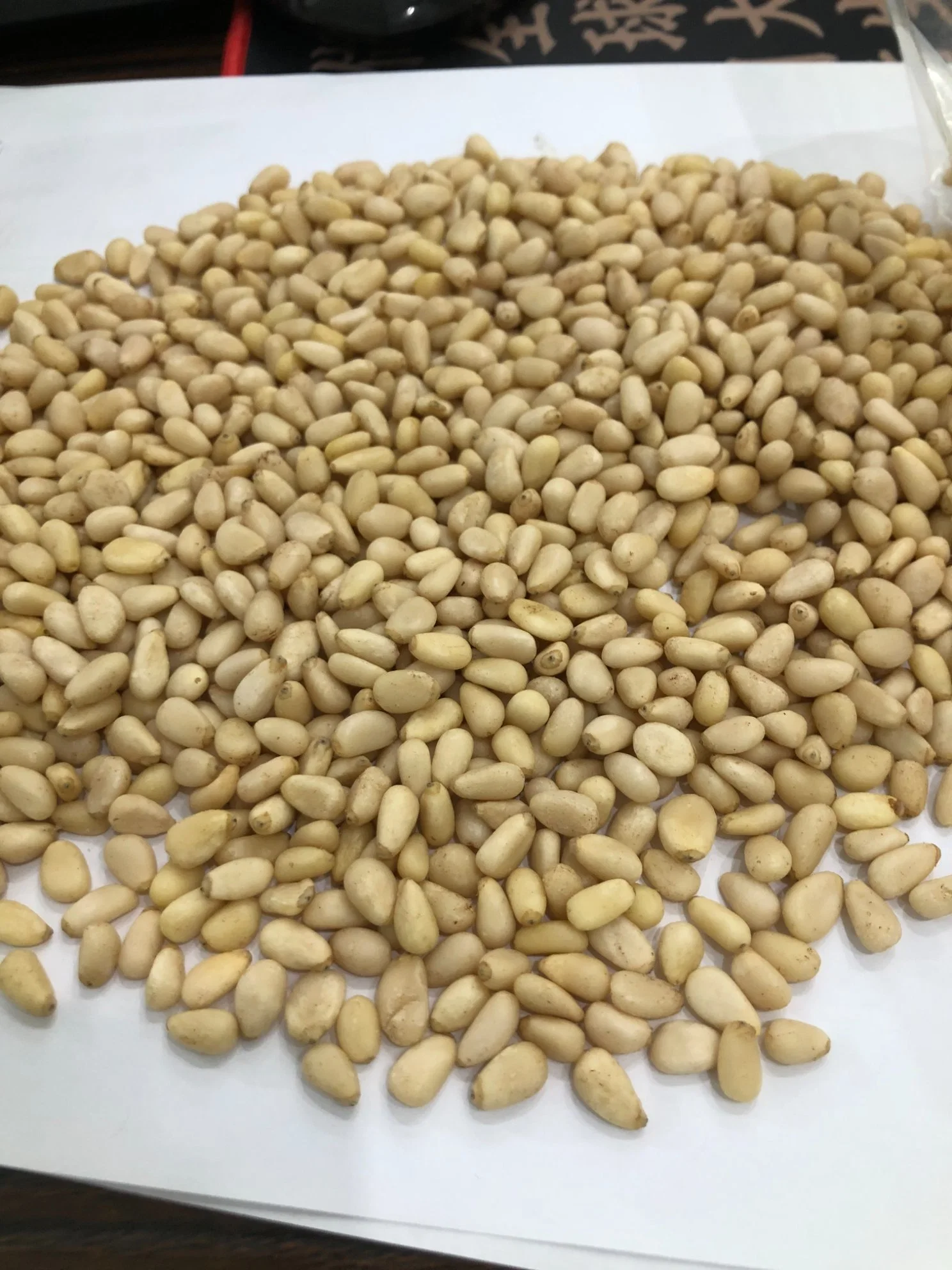 Оптовые продажи Новые культуры Top Quality Pine Nuts Здоровые Пища сушеная Кедр Пиненут