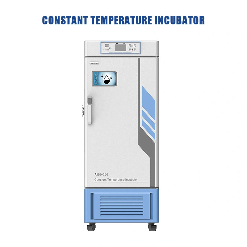 Chinese Factory Price Laboratory Air Mould Lab Incubator 100L Electric Incubators Temperature Incubator