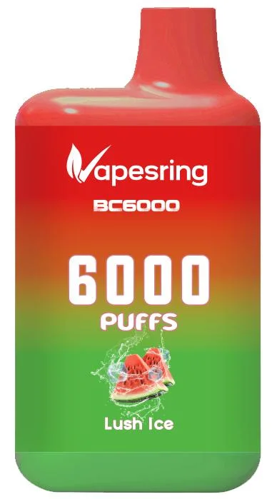 Original Vapesring Bc6000 Puffs Dispsoable Vape Pen vape with 2% Nicotine