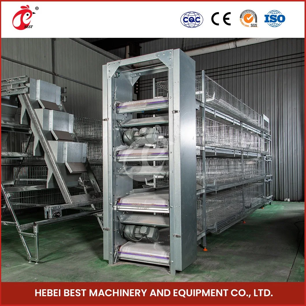 Bestchickencage H Type Pulled Brooder Cage Breeder Cage China Mobile Pullet Hen Manufacturing Wholesale/Supplier Long Service Life 5 Chicken Pullet House Cage