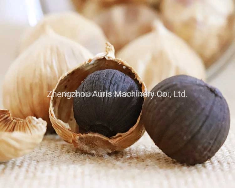 Commercial Black Garlic Fermenter Black Garlic Fermenting Chamber Black Garlic Manufacturing Machine